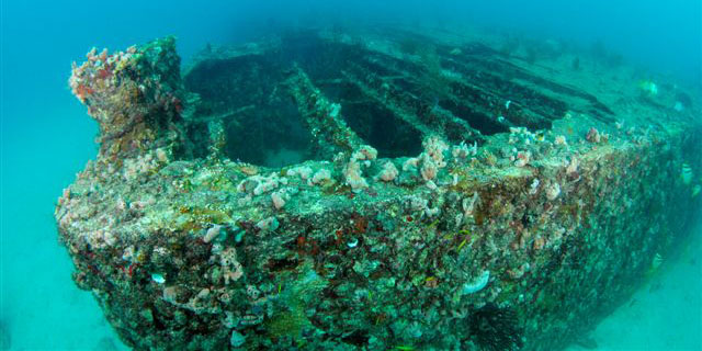 Dive With South Florida Diving Headquarters